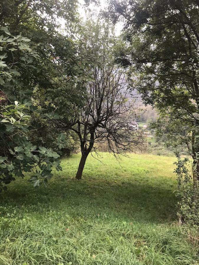 Villa Il bilocale della nonna Locana Esterno foto